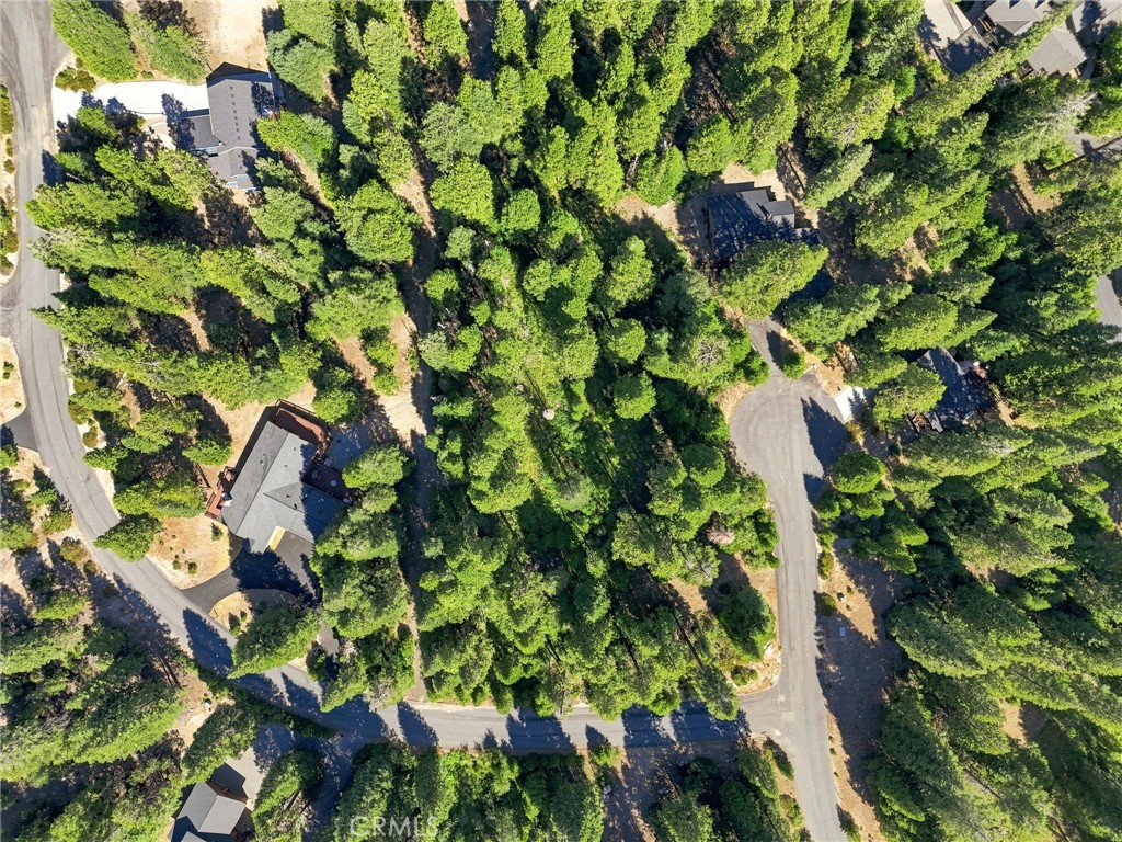 39730 Fox Glove Ln, Shaver Lake, CA 93664