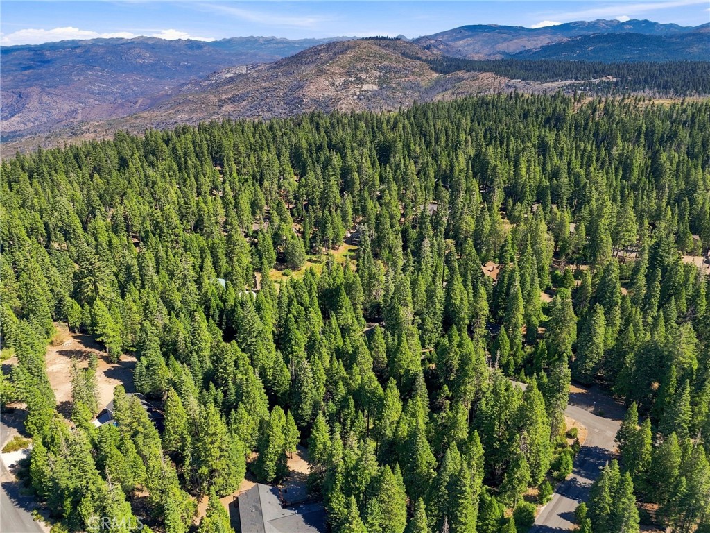 39730 Fox Glove Ln, Shaver Lake, CA 93664