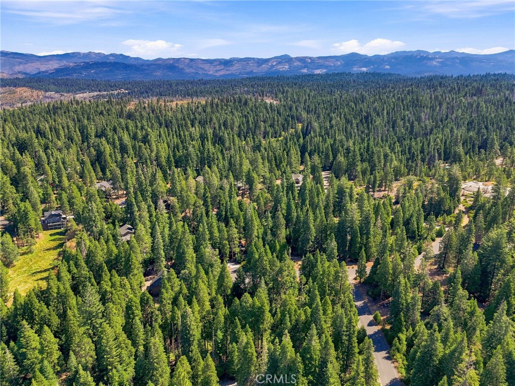 39730 Fox Glove Ln, Shaver Lake, CA 93664