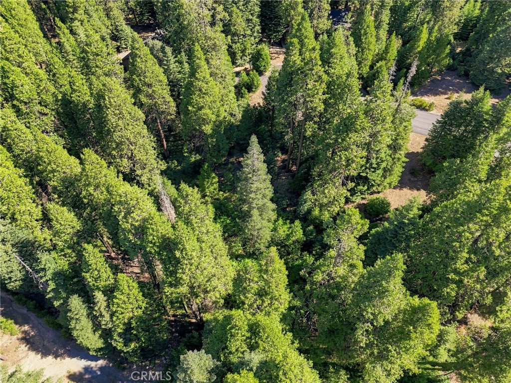 39730 Fox Glove Ln, Shaver Lake, CA 93664