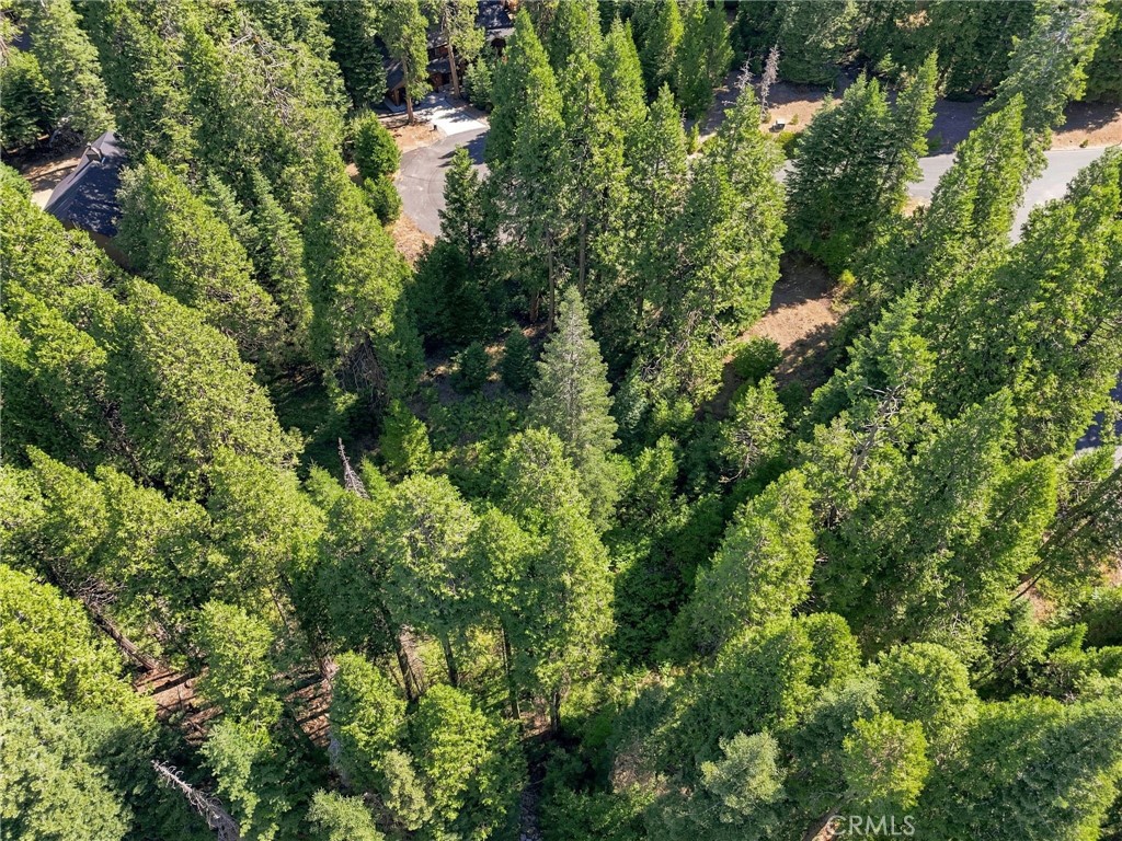 39730 Fox Glove Ln, Shaver Lake, CA 93664