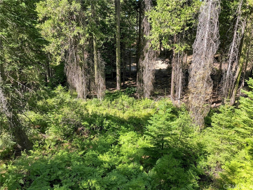 39730 Fox Glove Ln, Shaver Lake, CA 93664