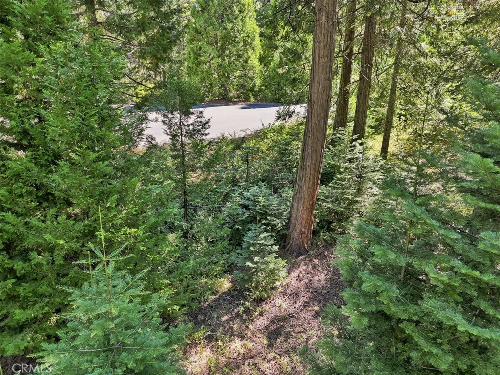 39730 Fox Glove Ln, Shaver Lake, CA 93664