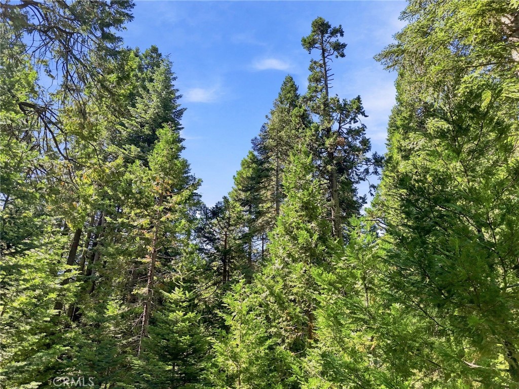 39730 Fox Glove Ln, Shaver Lake, CA 93664