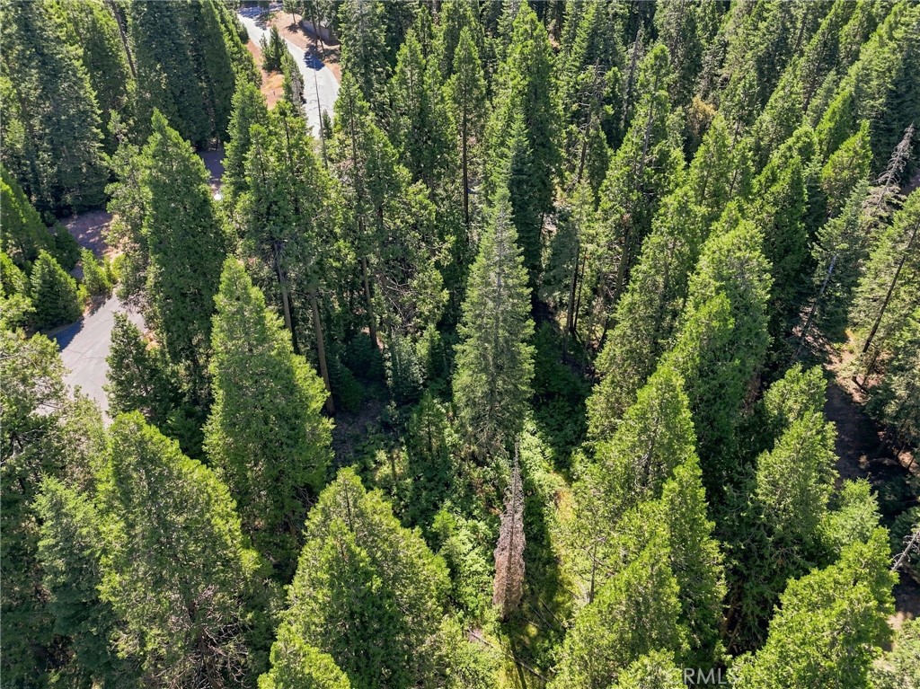 39730 Fox Glove Ln, Shaver Lake, CA 93664
