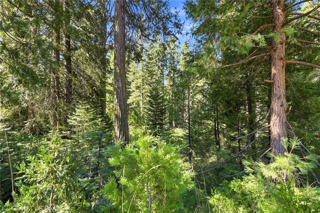 0 Foxglove Ln, Shaver Lake, CA 93664