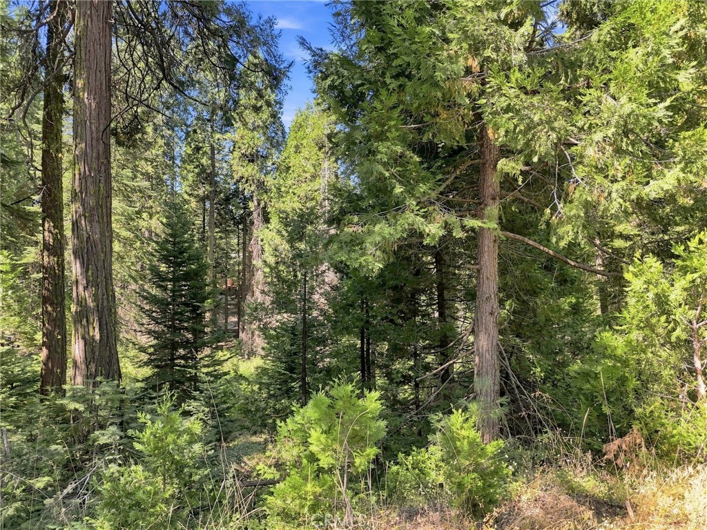 0 Foxglove Ln, Shaver Lake, CA 93664