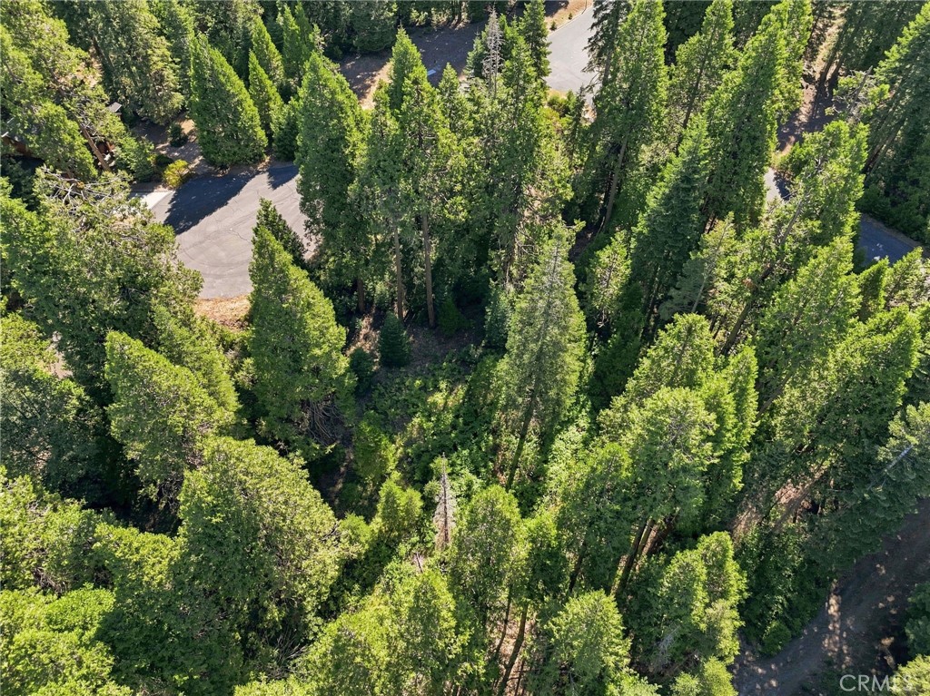 0 Foxglove Ln, Shaver Lake, CA 93664