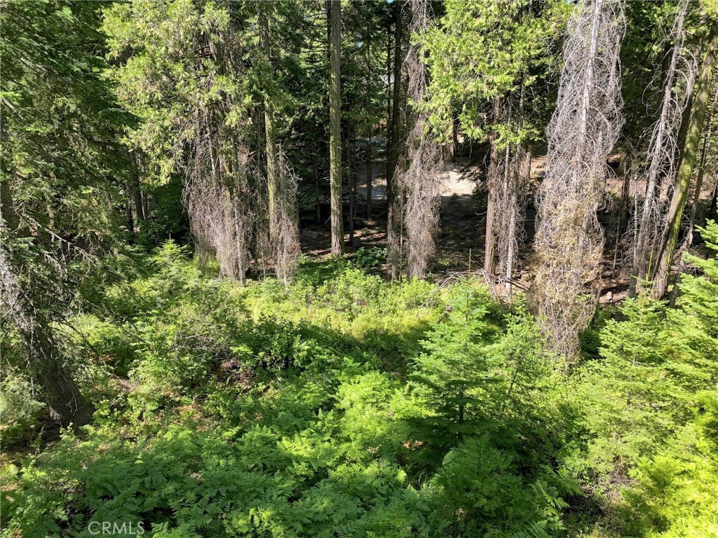 0 Foxglove Ln, Shaver Lake, CA 93664