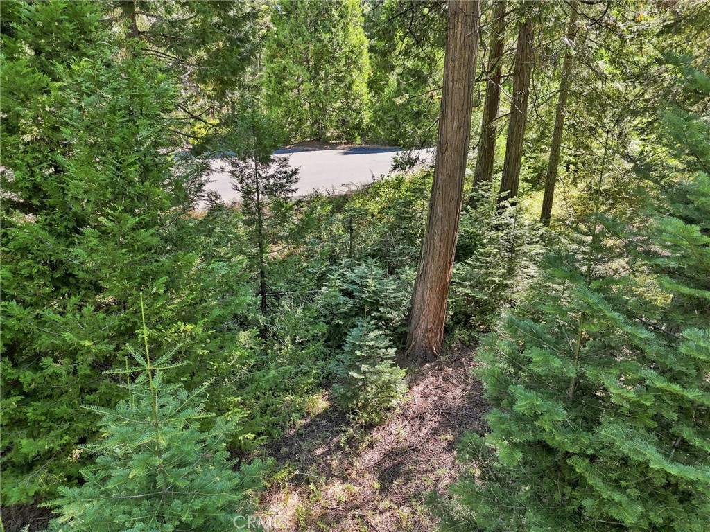 0 Foxglove Ln, Shaver Lake, CA 93664