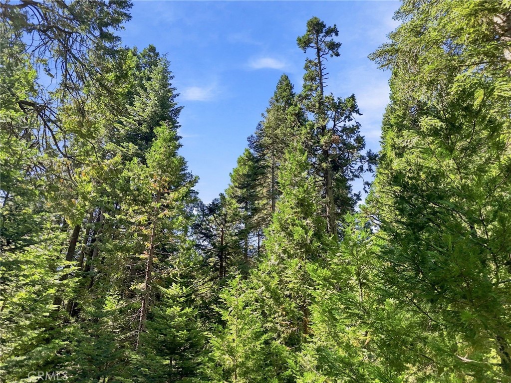 0 Foxglove Ln, Shaver Lake, CA 93664