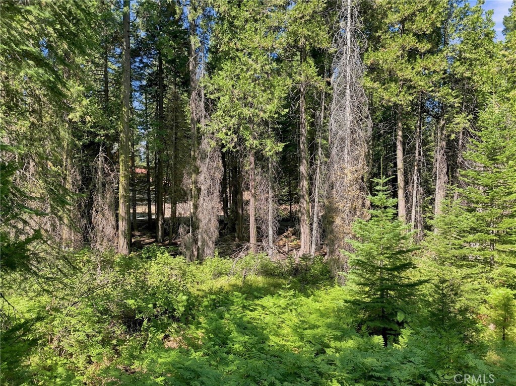 0 Foxglove Ln, Shaver Lake, CA 93664