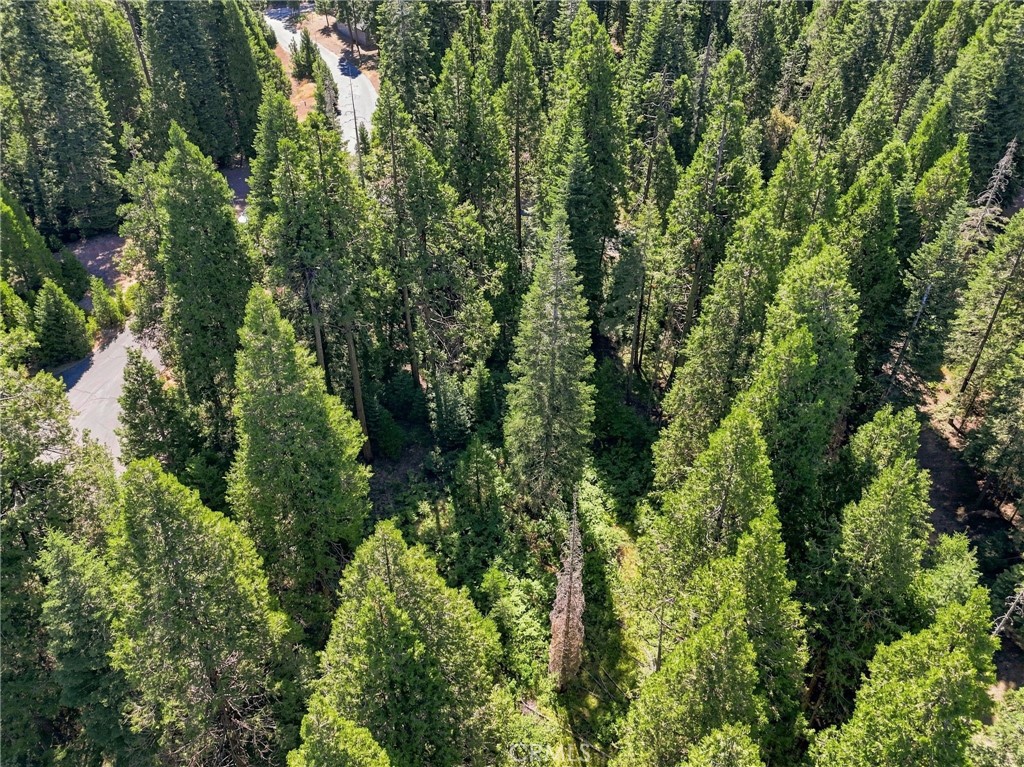 0 Foxglove Ln, Shaver Lake, CA 93664