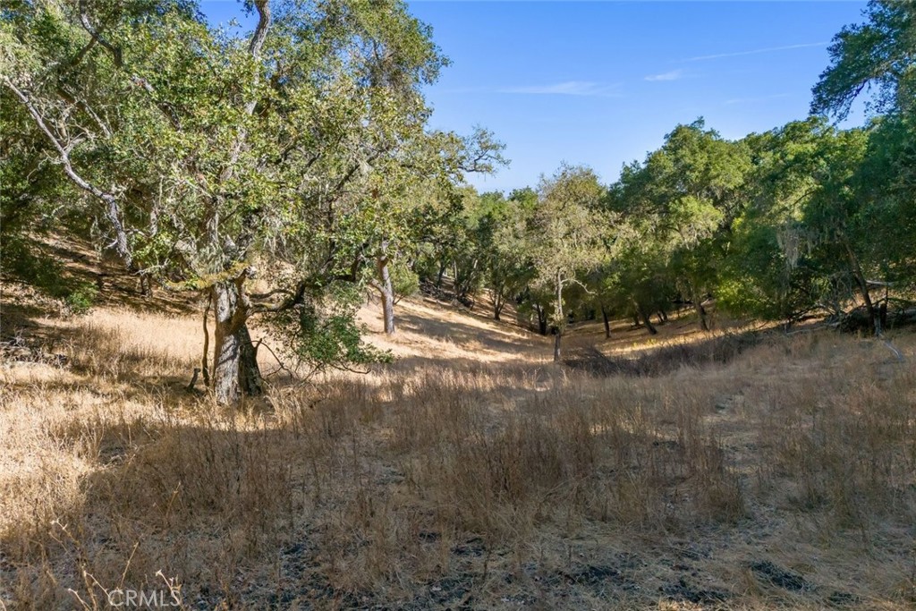2175 San Fernando, Atascadero, CA 93422