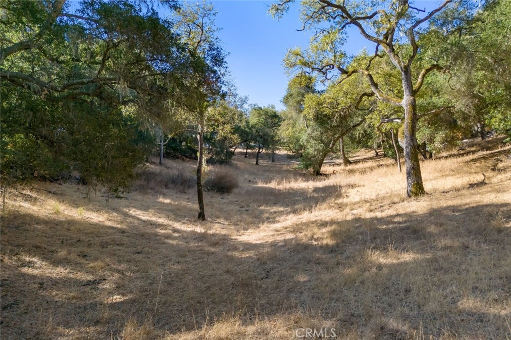 2175 San Fernando, Atascadero, CA 93422