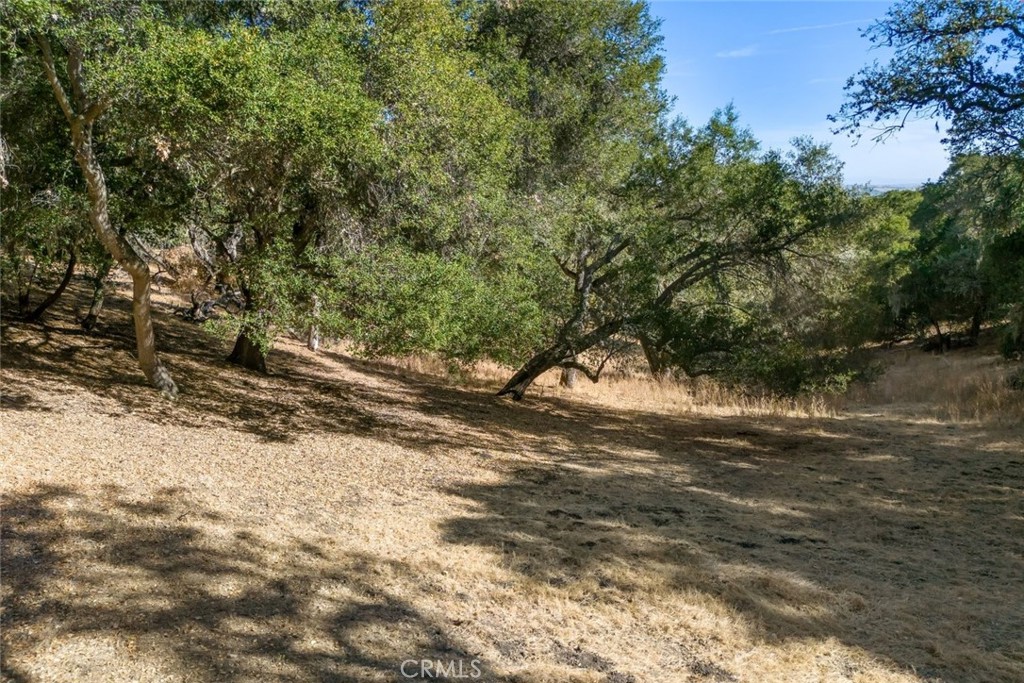 2175 San Fernando, Atascadero, CA 93422