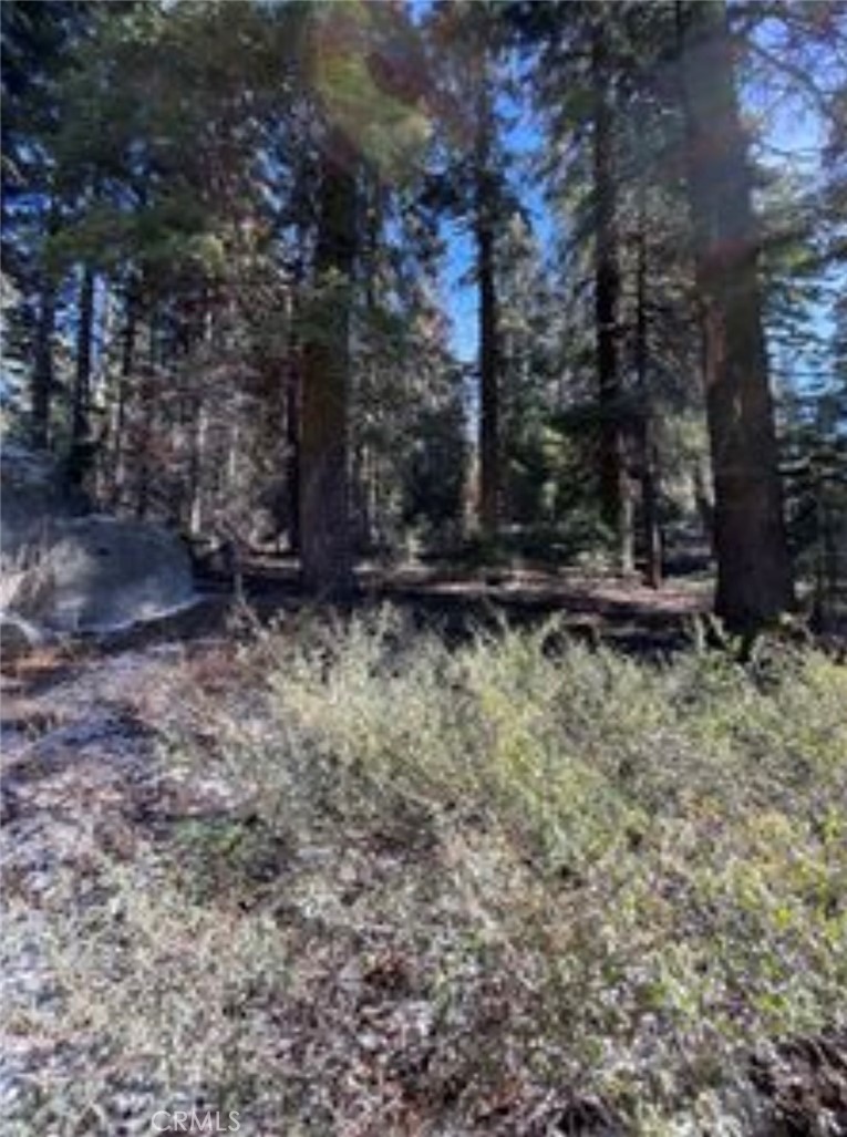 57793 Fawn Dr, Springville, CA 93265