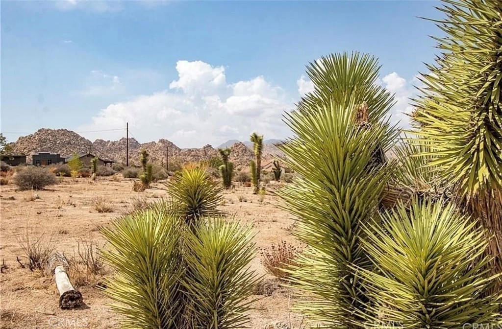 5545 Red Ryder, Pioneertown, CA 92268