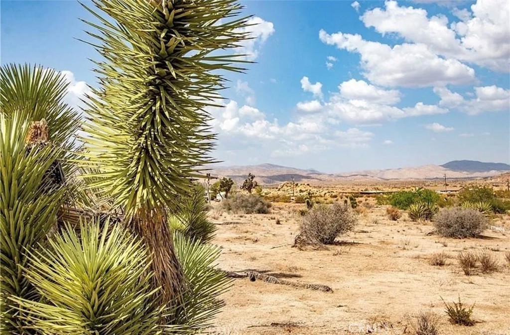 5545 Red Ryder, Pioneertown, CA 92268