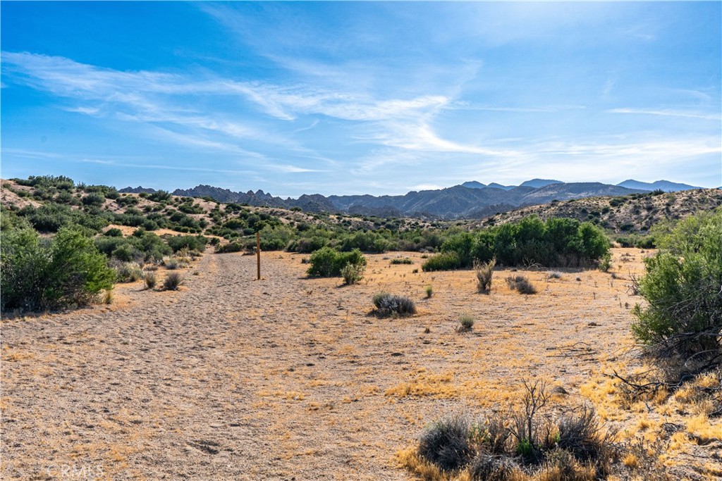 0 Pioneertown Rd, Pioneertown, CA 92268