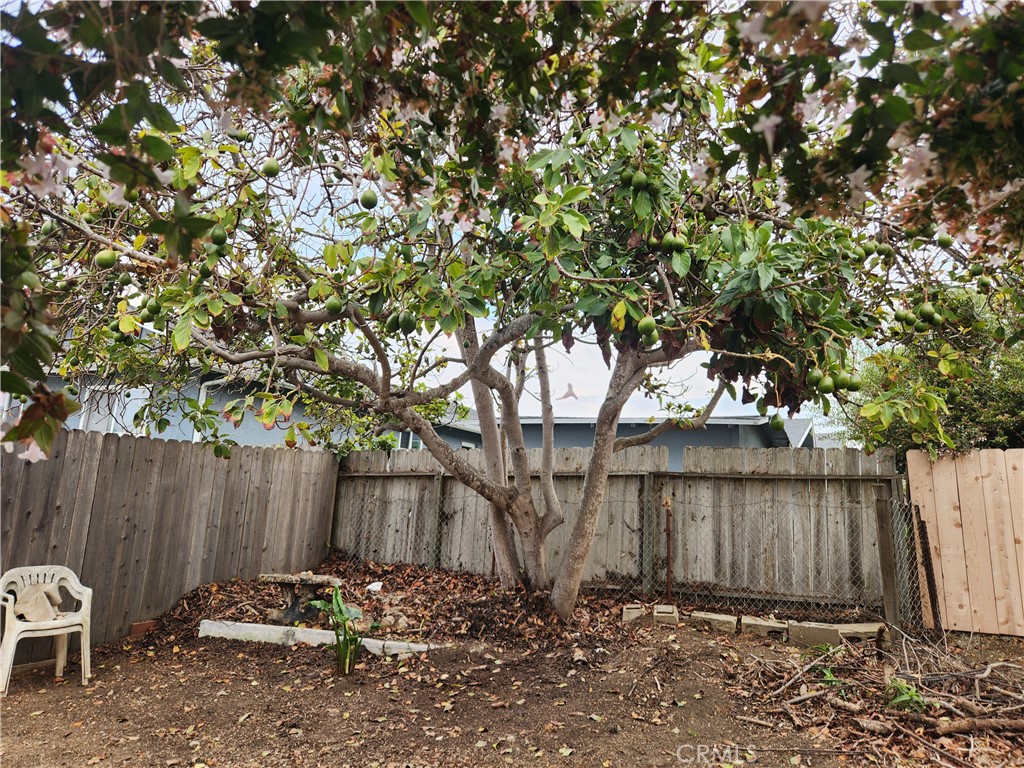 625 Elena, Morro Bay, CA 93442