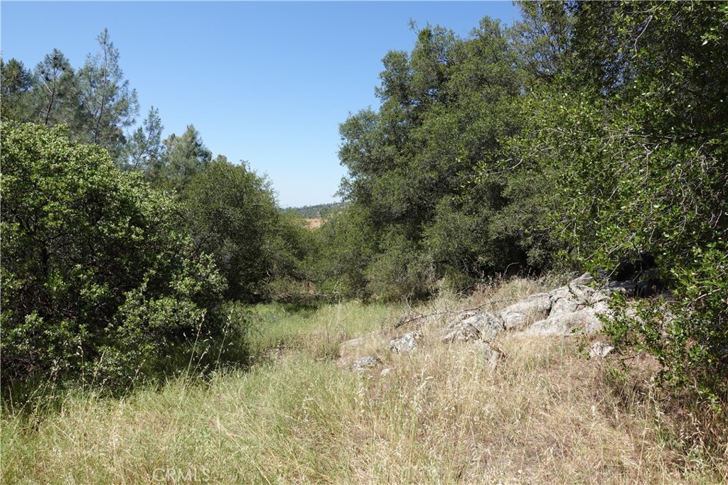 0 RUNNING DEER WAY, Coarsegold, CA 93614
