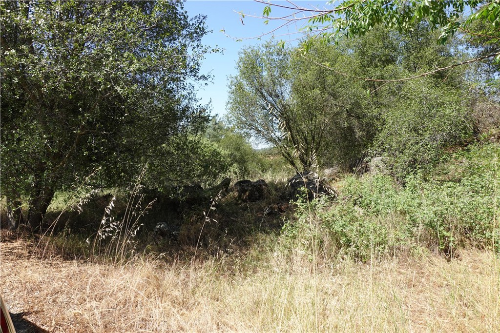 0 RUNNING DEER WAY, Coarsegold, CA 93614
