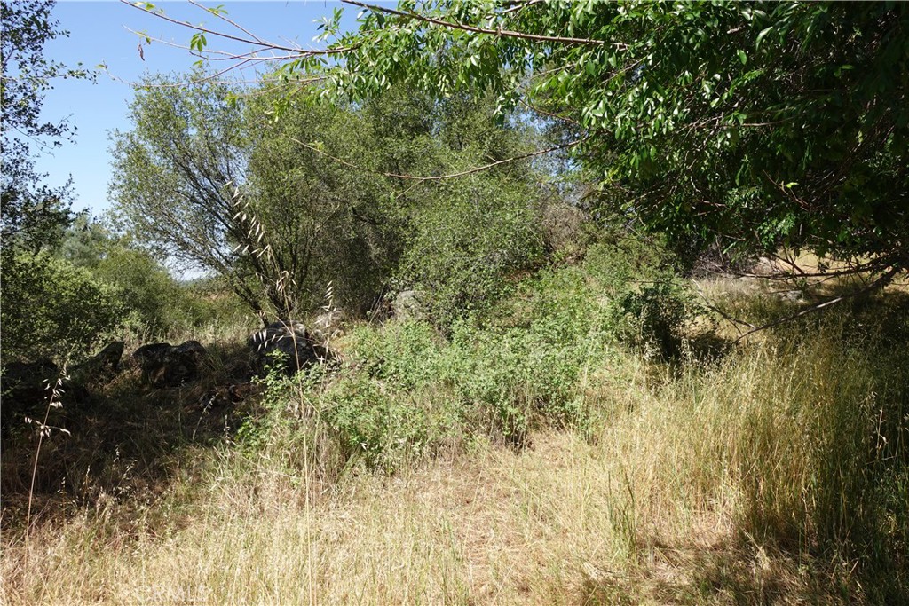 0 RUNNING DEER WAY, Coarsegold, CA 93614