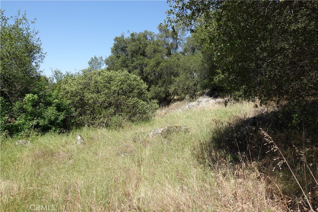 0 RUNNING DEER WAY, Coarsegold, CA 93614