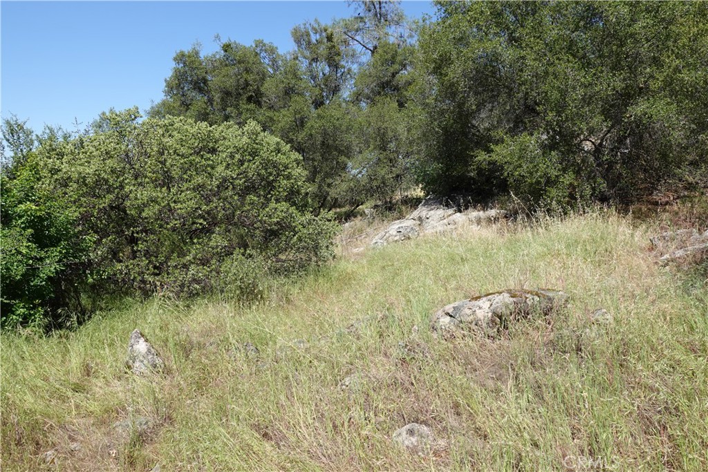 0 RUNNING DEER WAY, Coarsegold, CA 93614