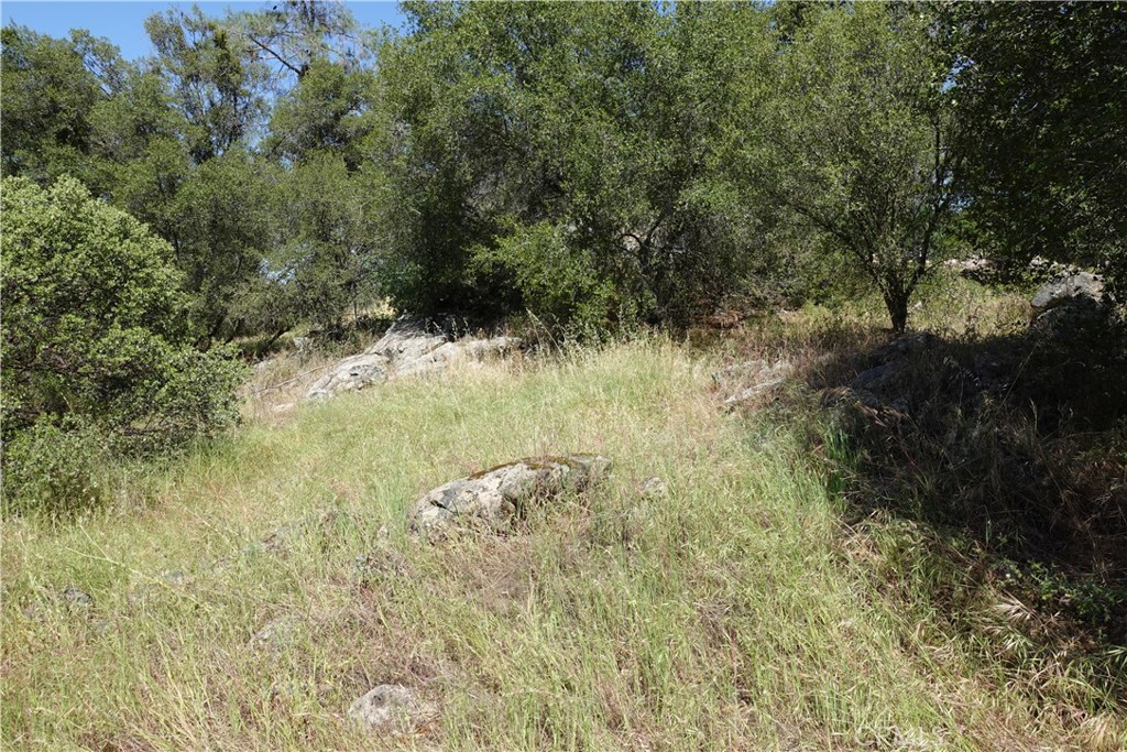 0 RUNNING DEER WAY, Coarsegold, CA 93614