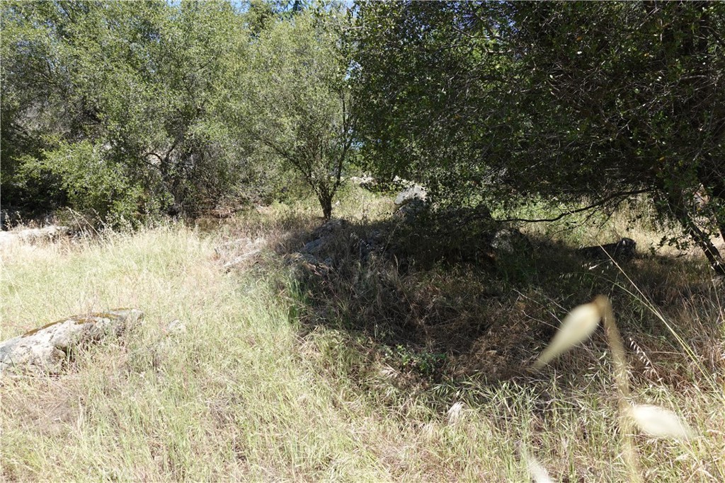 0 RUNNING DEER WAY, Coarsegold, CA 93614