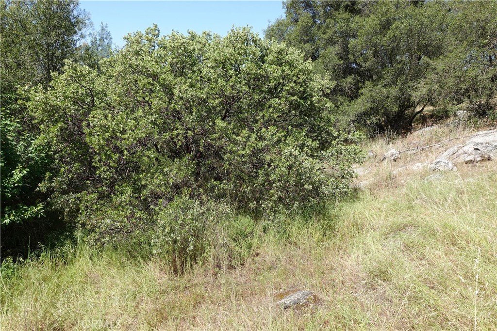 0 RUNNING DEER WAY, Coarsegold, CA 93614
