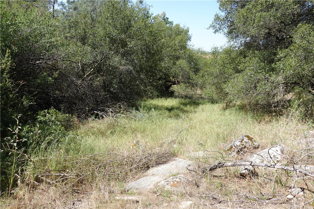 0 RUNNING DEER WAY, Coarsegold, CA 93614