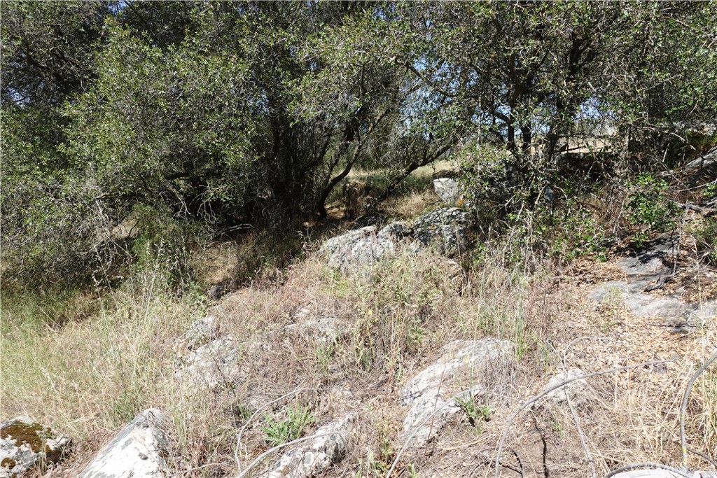 0 RUNNING DEER WAY, Coarsegold, CA 93614