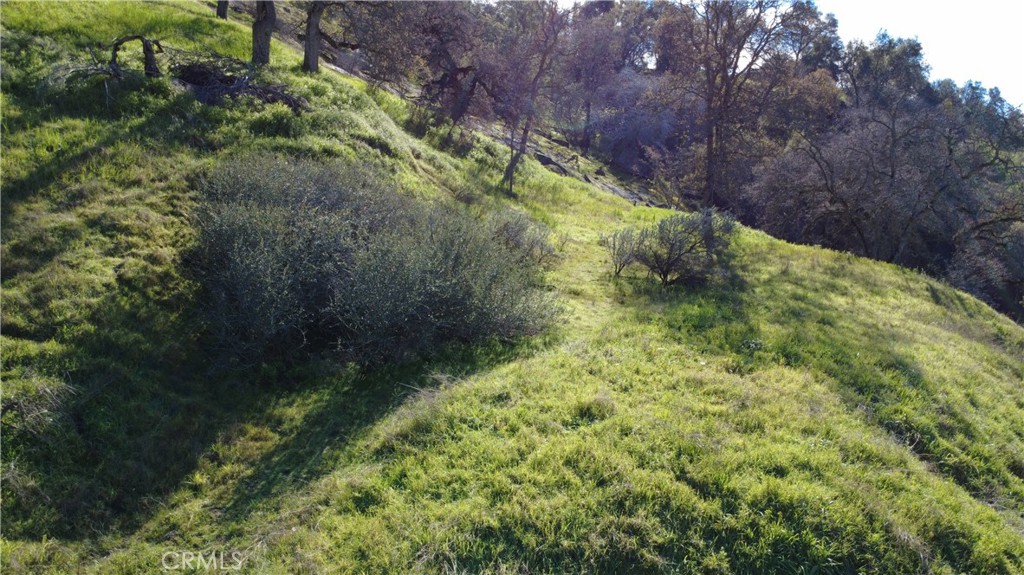 0 Roundtree Ln, Squaw Valley, CA 93675