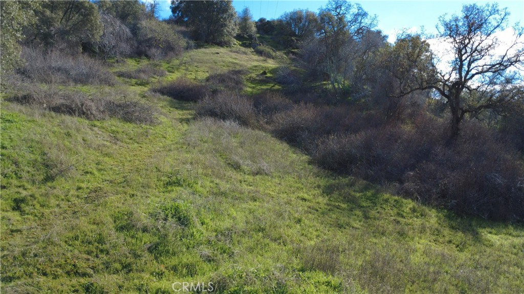 0 Roundtree Ln, Squaw Valley, CA 93675