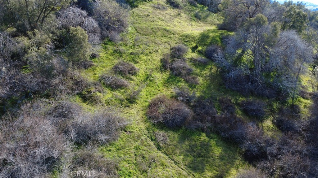 0 Roundtree Ln, Squaw Valley, CA 93675