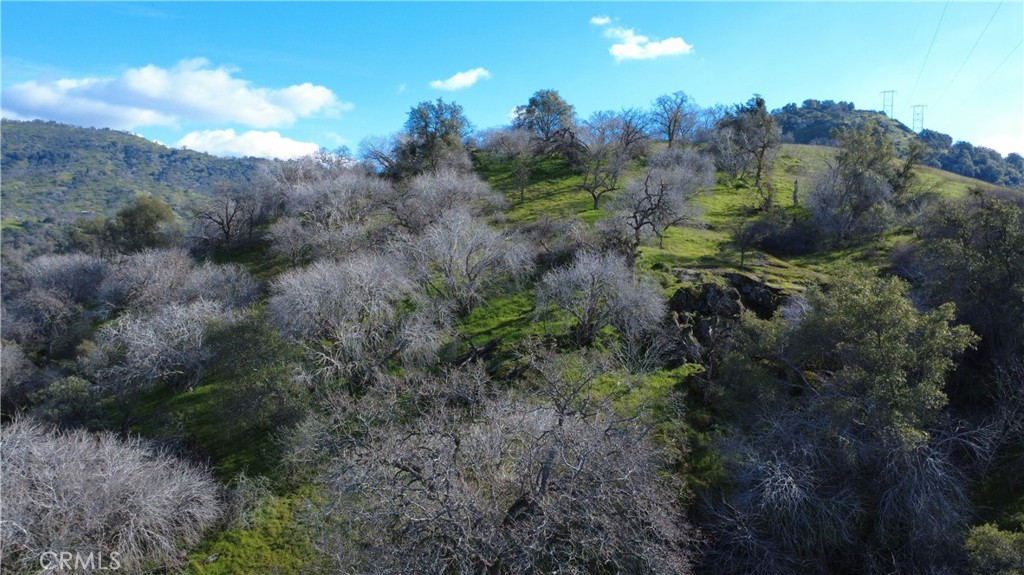 0 Roundtree Ln, Squaw Valley, CA 93675