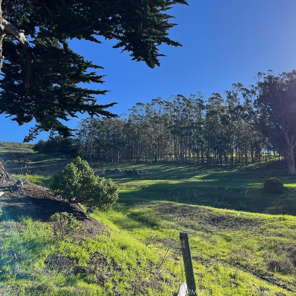 650 Sequoia Ct, Morro Bay, CA 93442