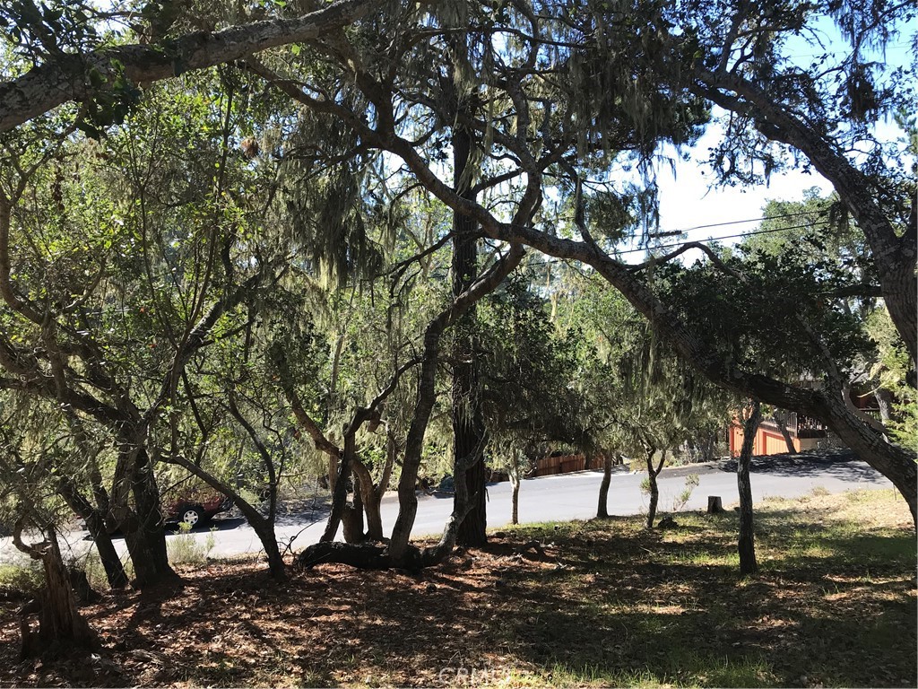 0 Saint James Rd, Cambria, CA 93428