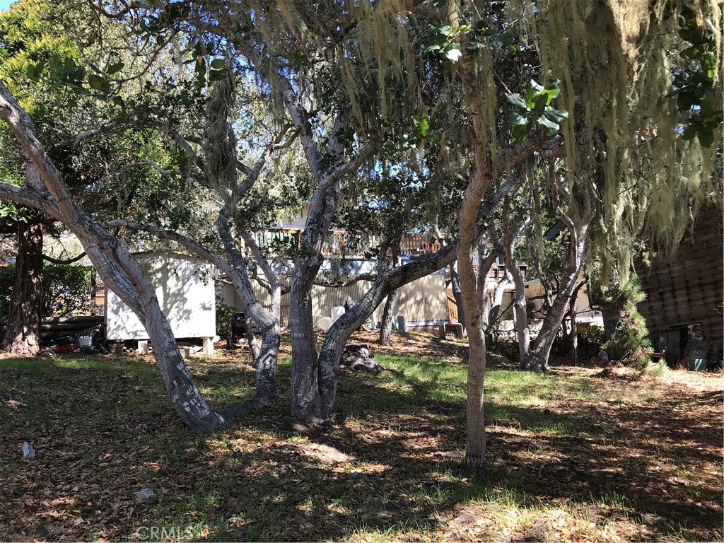 0 Saint James Rd, Cambria, CA 93428