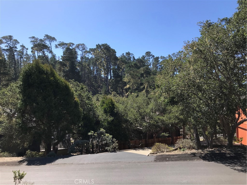 0 Saint James Rd, Cambria, CA 93428