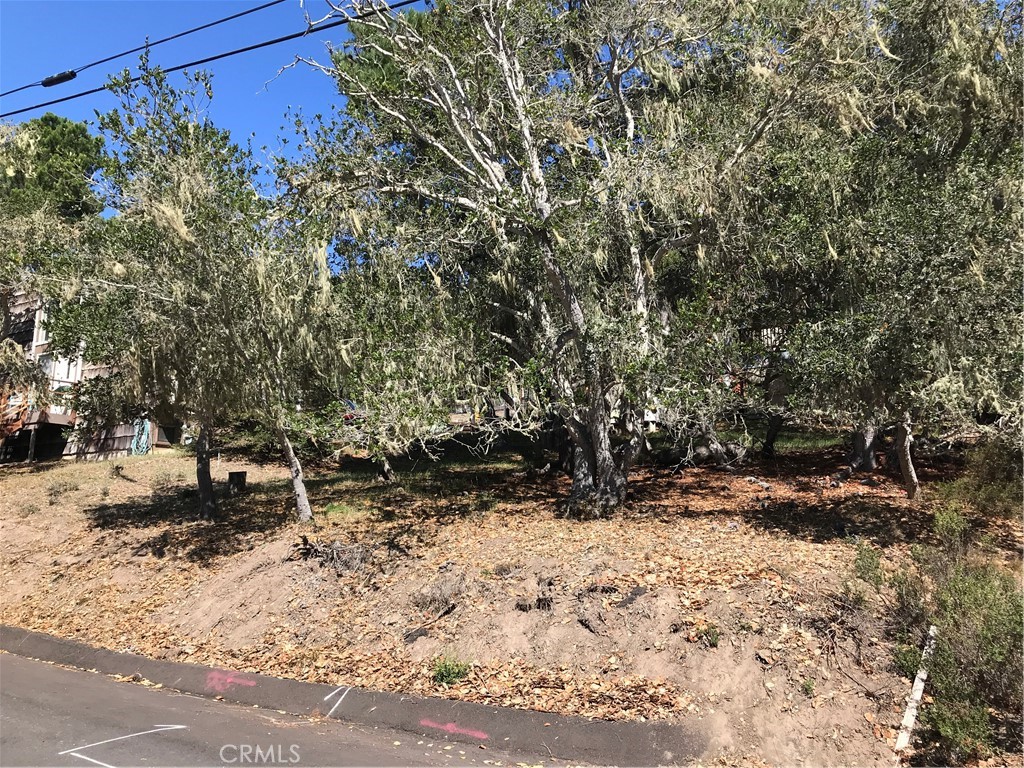 0 Saint James Rd, Cambria, CA 93428