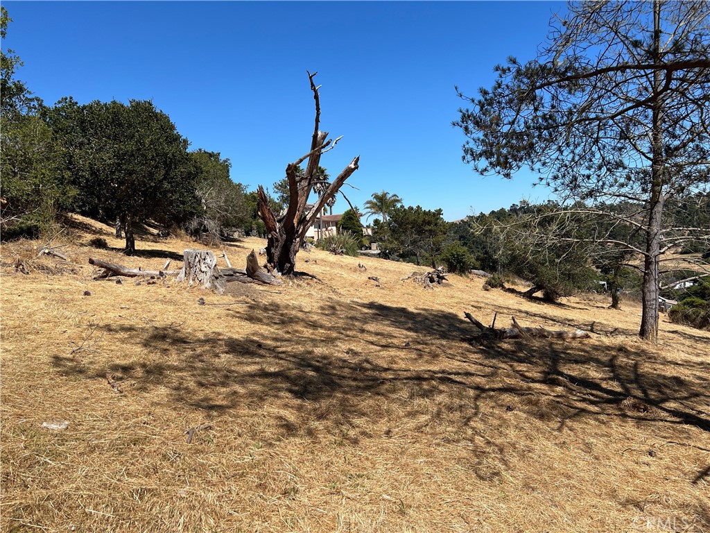 4925 Grove St, Cambria, CA 93428