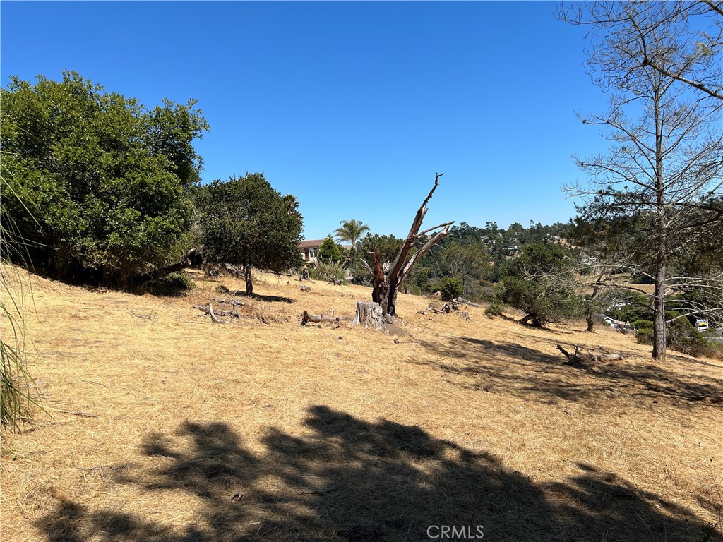 4925 Grove St, Cambria, CA 93428