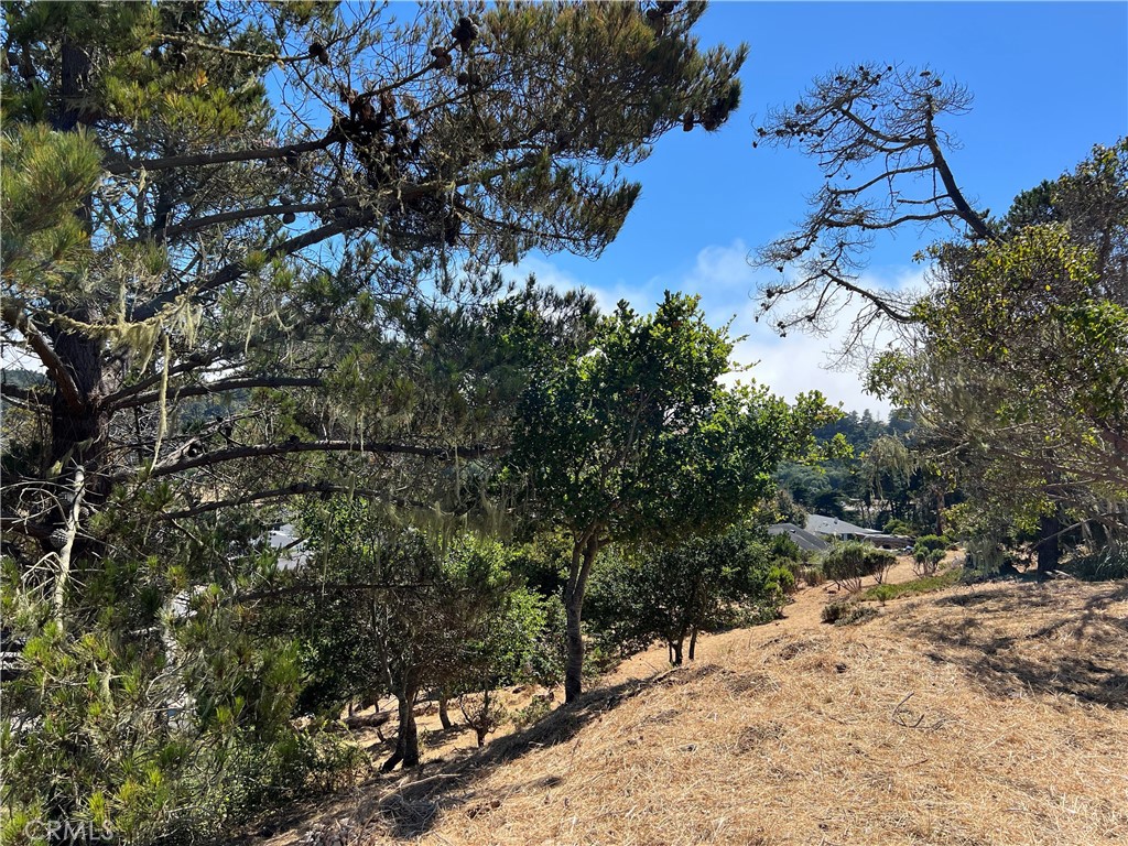 4925 Grove St, Cambria, CA 93428