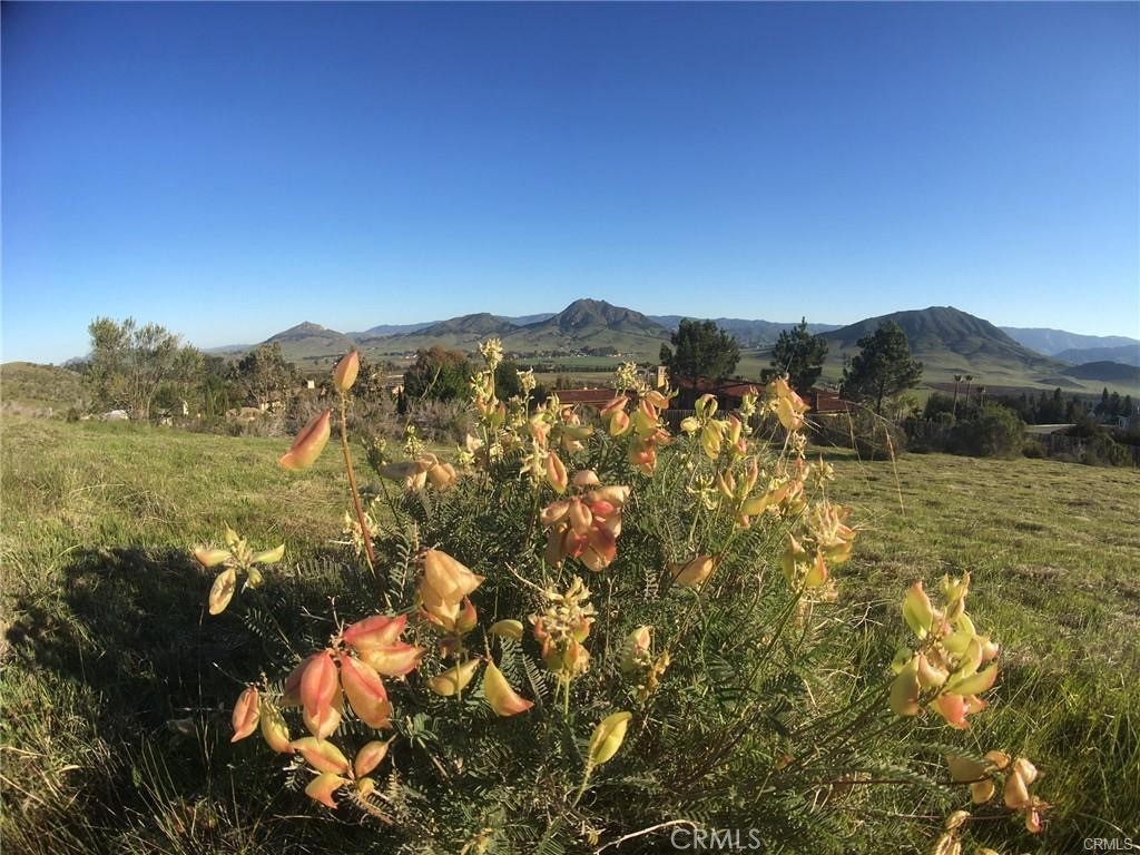 730 Via Laguna, San Luis Obispo, CA 93405