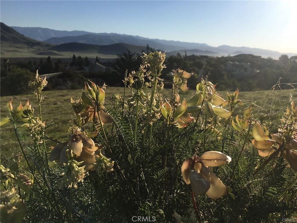 730 Via Laguna, San Luis Obispo, CA 93405