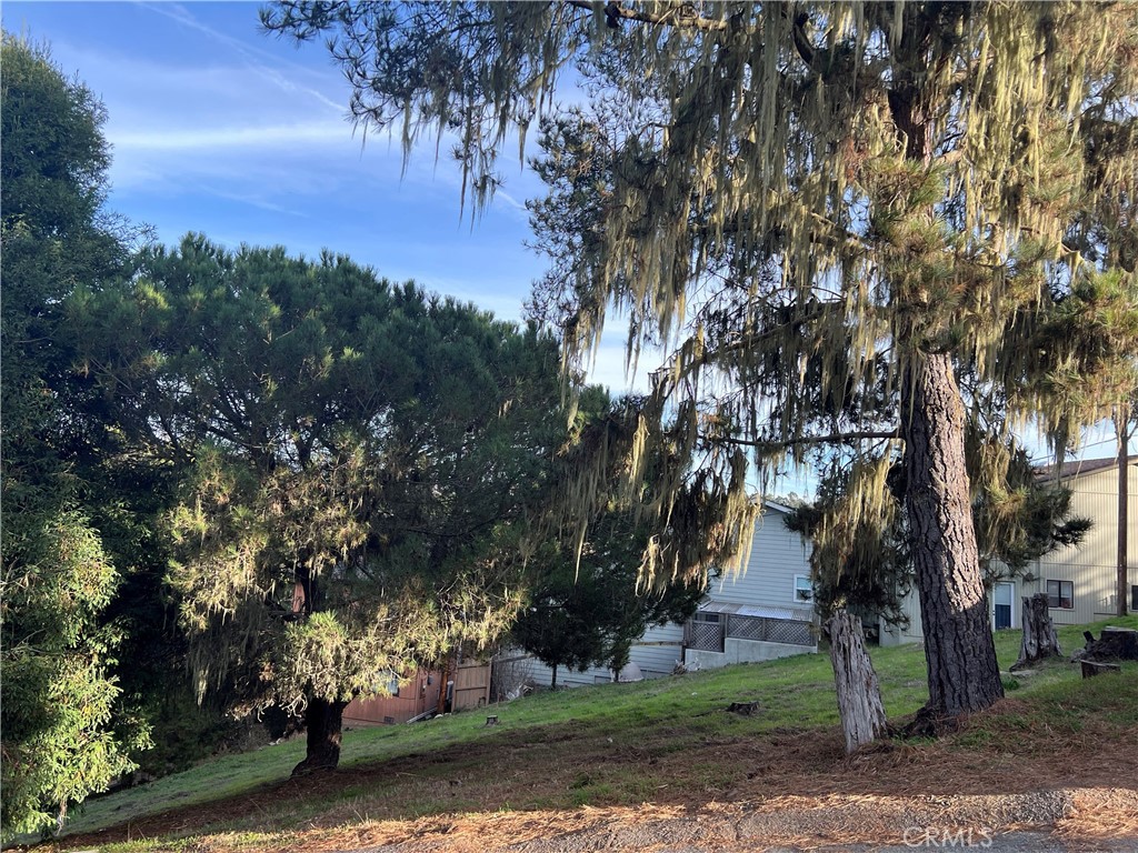 0 Worcester, Cambria, CA 93428